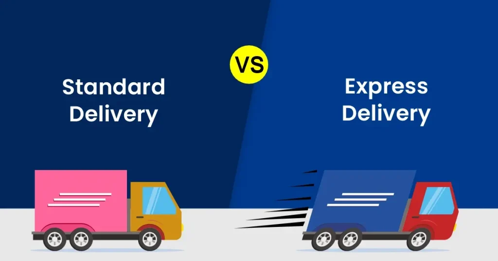 Express vs Standard Delivery